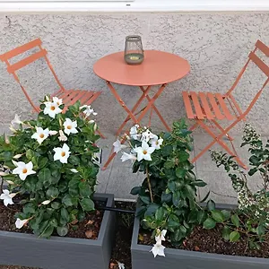 Le Jardin Appartement Tournon-sur-Rhone